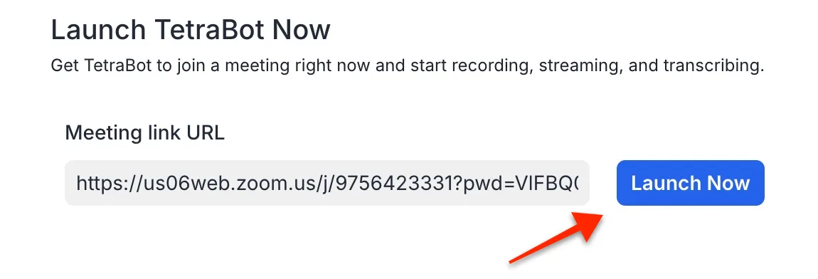 The Launch TetraBot Now section with a Zoom URL entered and the Launch Now button highlighted